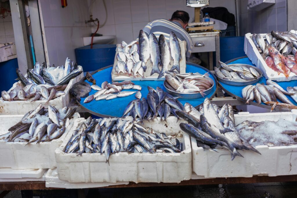 mercado de pescados de diferentes especies